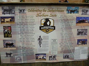 Shorthorn show at Canadian Western Agribition